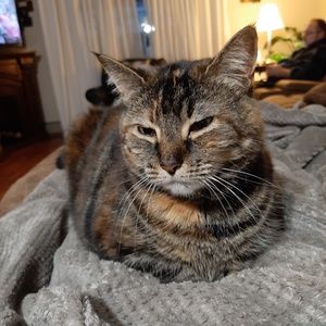 Meet your Posher, Lorna